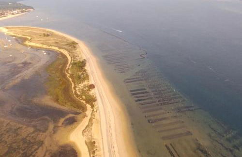 Belle villa au Cap Ferret Quartier MIMBEAU - Foto 24