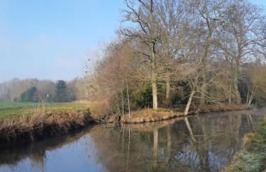 Gîte du Parc des Mauves - Photo 40