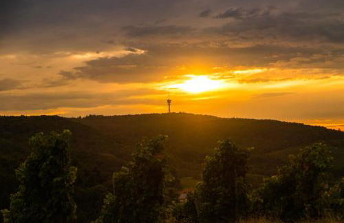 Villa in Seenahe Badesee Ehmetsklinge - Foto 43