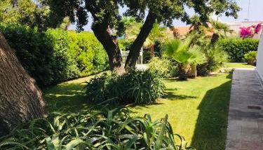 Villa sul mare Rosa Marina - Foto 5