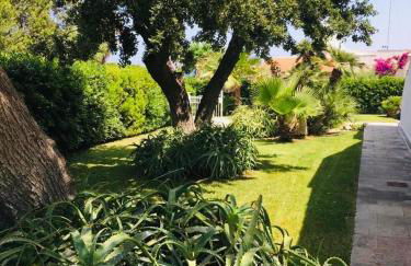 Villa sul mare Rosa Marina - Foto 5