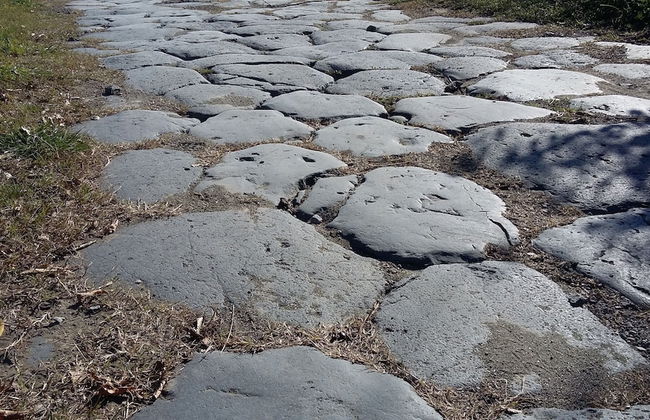 Blue House Near Bagnoregio-overlooking the Umbrian Mountains and Tiber Valley - Photo 61