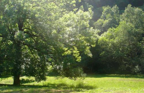 Le Clos de la Bergerie by CamiLodge - Foto 19