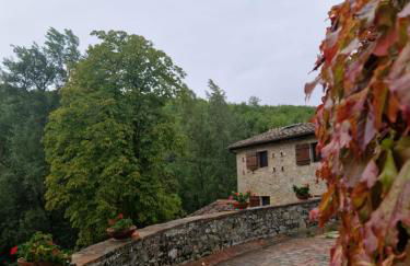 Molino di Cogno - Foto 64