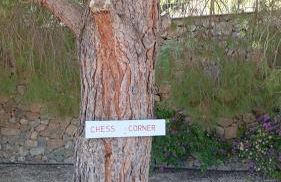 Casa pajarera - Foto 58