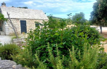 Country House Hacienda - Photo 8