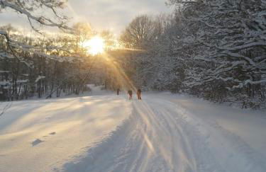Ferienwohnung Sonnenschein mit kleinem Bauernhof - Foto 7