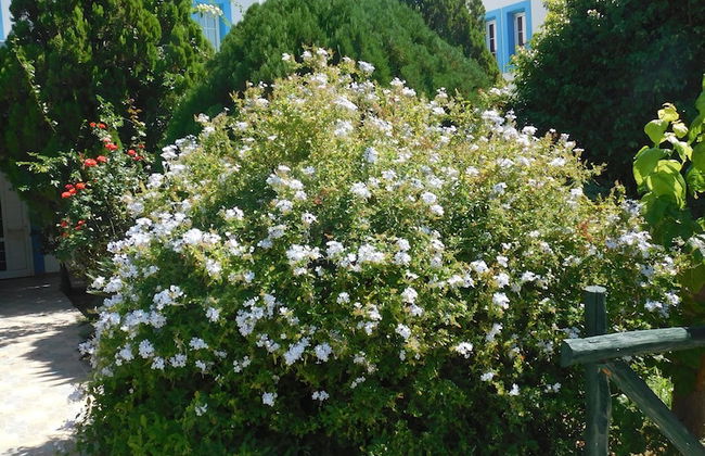 Anna-Ageliki Apartments - Foto 79