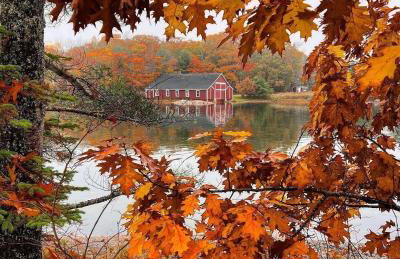 Manor House on Conary Cove, Literally Surrounded by Water!! - Foto 32