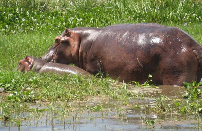 Delta Belle Boathouse - Foto 16