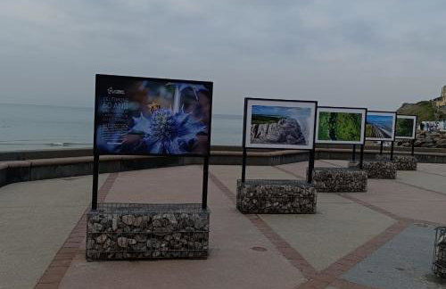 Bleu Iconic VUE MER à Wimereux - Foto 31