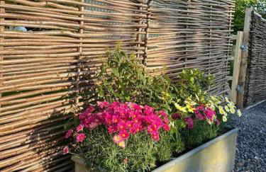 Luxury Shepherd Hut on small South Hams farm, Devon - Foto 11