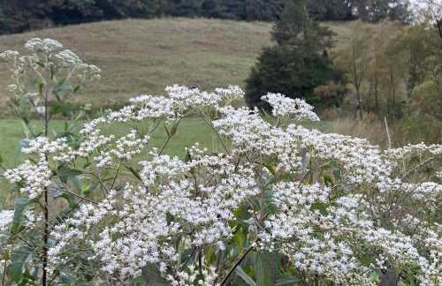 Newly Listed-Private 25-Acre Escape Near Red River Gorge - Foto 144