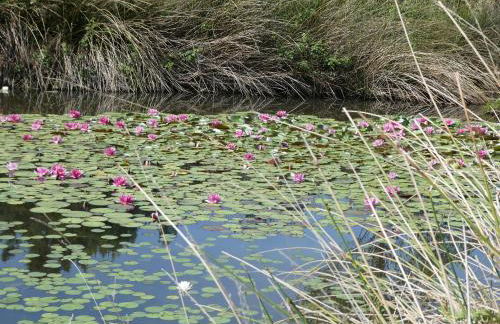Rifugio Storico sul Mare - Foto 69