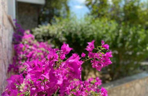 Via Verdi 14 - Foto 26