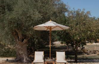 IUTA Glamping & Farm - Foto 22