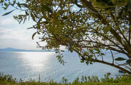 AVIA HOLIDAY HOME 2 - Photo 39