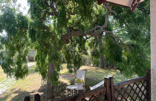 Casa Rosa, country villa with swimming pool - Foto 10