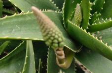 Allin home - Foto 46