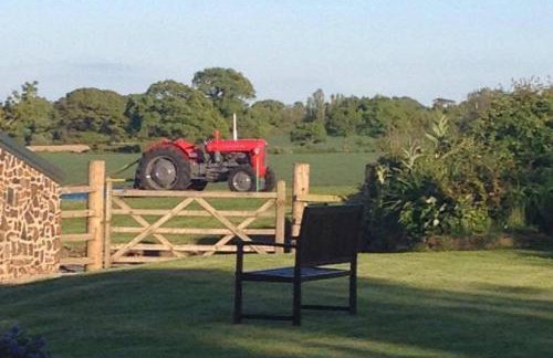 Wolfin Farm Accomodation - Foto 24