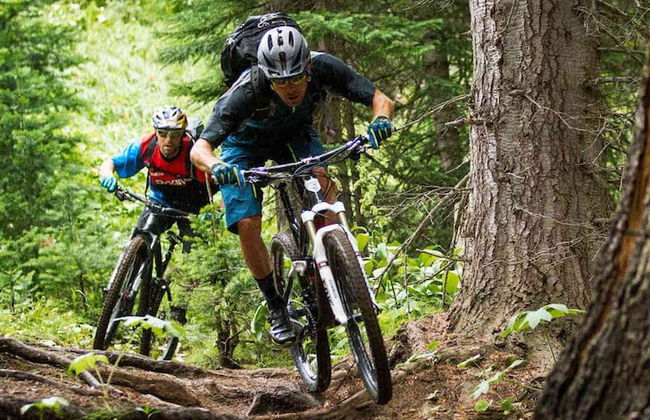 Spacious 6-person Chalet in Antwerp - Foto 24