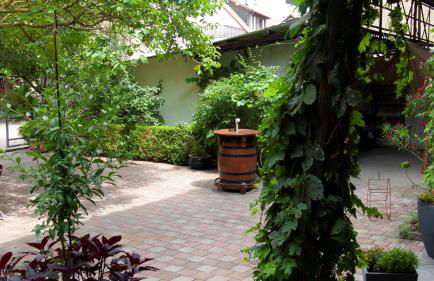 Apartmenthaus "Zum Birnbaum" - Foto 19