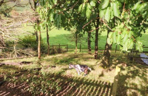 The Old Shippon - Foto 15