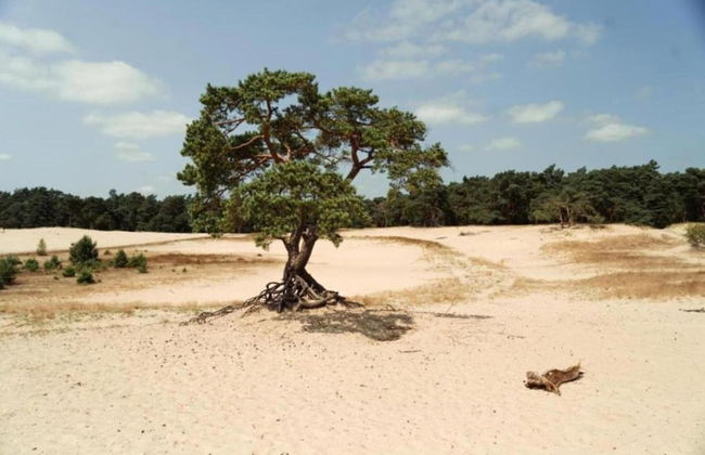 Lovely Holiday Home in Kattendijke Near Centre - Foto 64