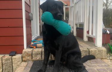 Tinyhouse Bamberg - Foto 21