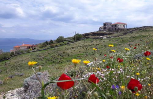 Seaview Villa - Photo 52