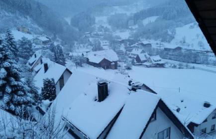 Schwarzwald-Ferienwohnung Lehmann - Foto 8