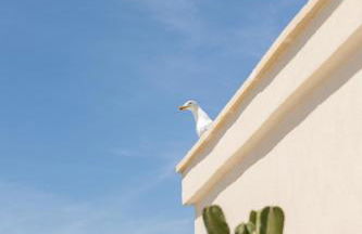 Fronte Mare Casa Daspa - Foto 48