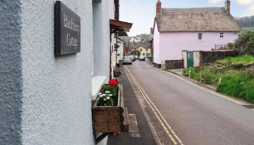 Blackberry Cottage - Photo 1