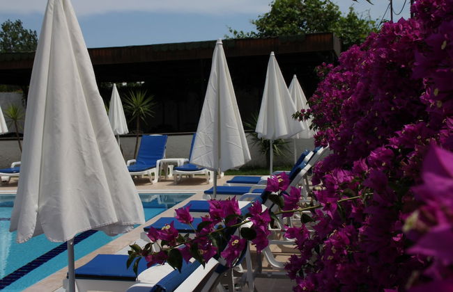 Minta Apart - Foto 17