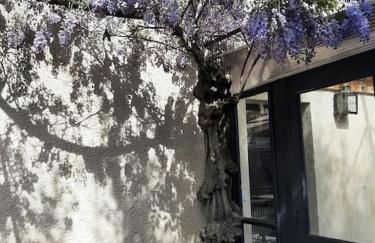 La Maison d'Albert et Julia à 12 mn du Futuroscope - Foto 8