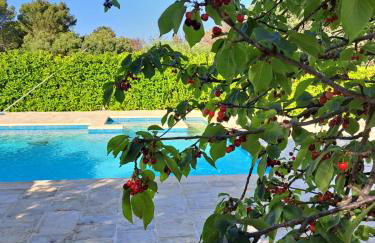 Trulli Gianfelice - Foto 6