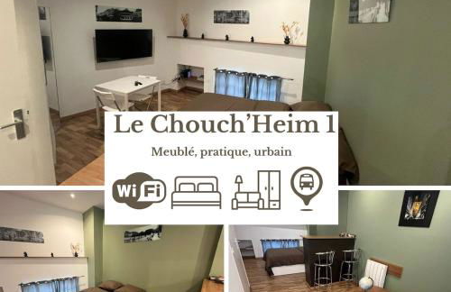 New Le Chouch'heim F1 27 m2 Renovated 2025 clim tv internet - Foto 1