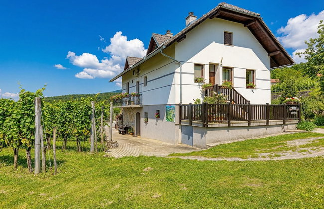 Vineyard Homestead Vrtin - Foto 53