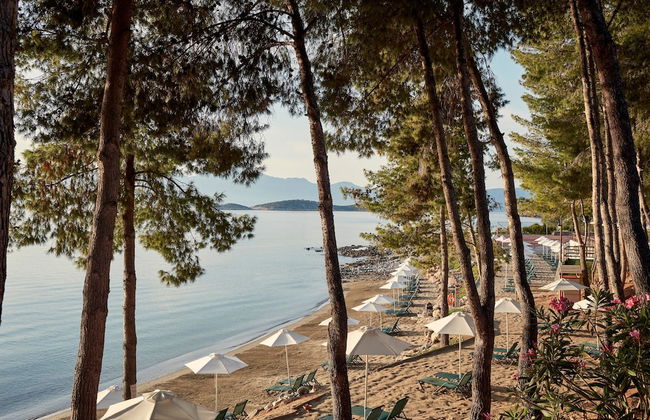 Candia Park Village - Foto 75