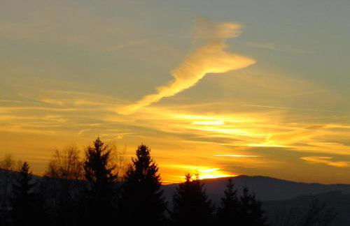 Ferienhof Ellerbeck - Foto 25