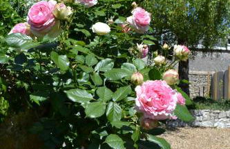 Gîte de charme proche du Zoo Beauval et Châteaux - Photo 65