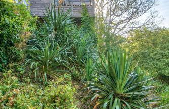 Renovated Chalet In The Heart Of Nature In Vendée - Photo 16
