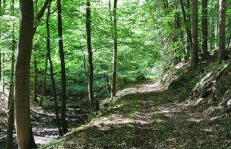Ferienwohnung zur Mühle - Foto 68
