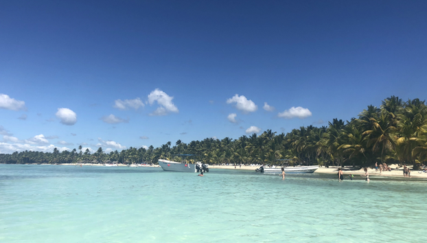 Explore Catalina Island and Altos de Chavon - Full-Day Tour - Foto 5