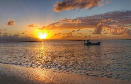 A 2 passos do paraíso - Photo 43