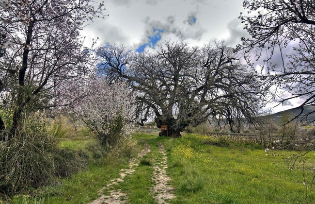 Lania Royal Oak House - Foto 28