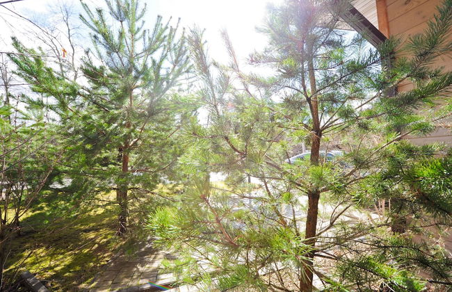 Skokovo Park - Foto 75