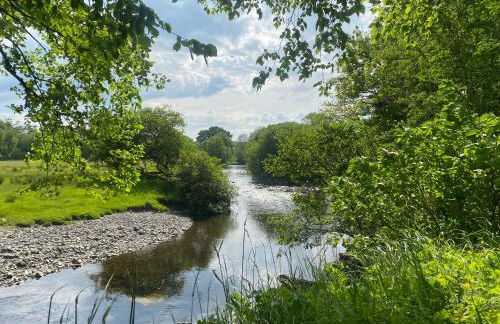 Bronfelin & Troed-y-rhiw Holiday Cottages - Foto 78