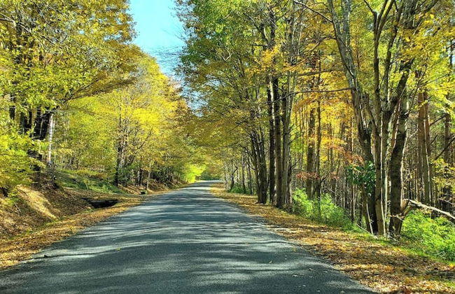 Catskill Retreat - Foto 64