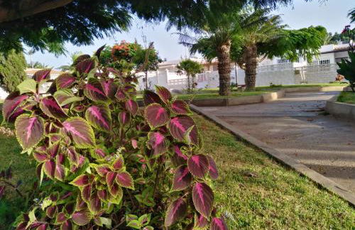 House Lilu - luminoso monolocale - Foto 15